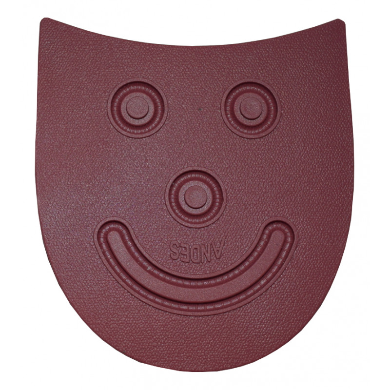 ANDES TACONES CRONOS